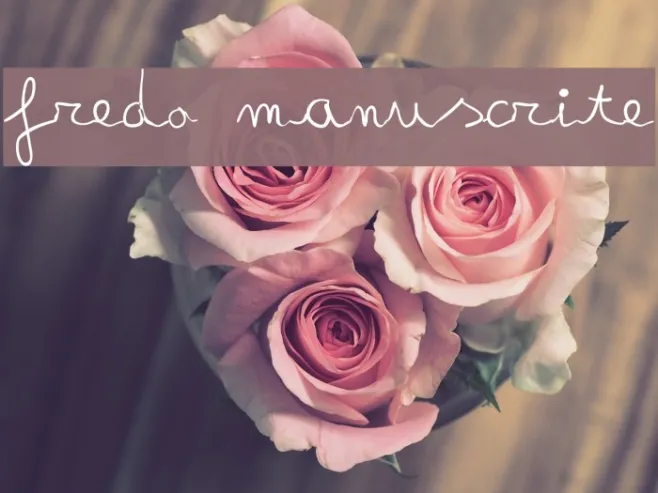 fredo manuscrite Example 3