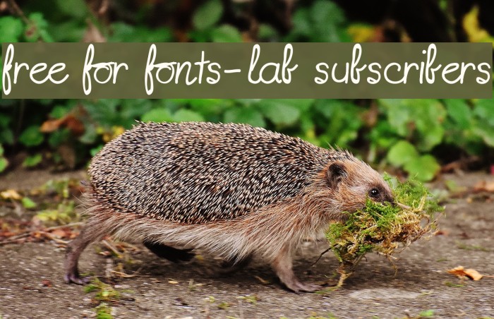 free for fonts-lab subscribers Font examples