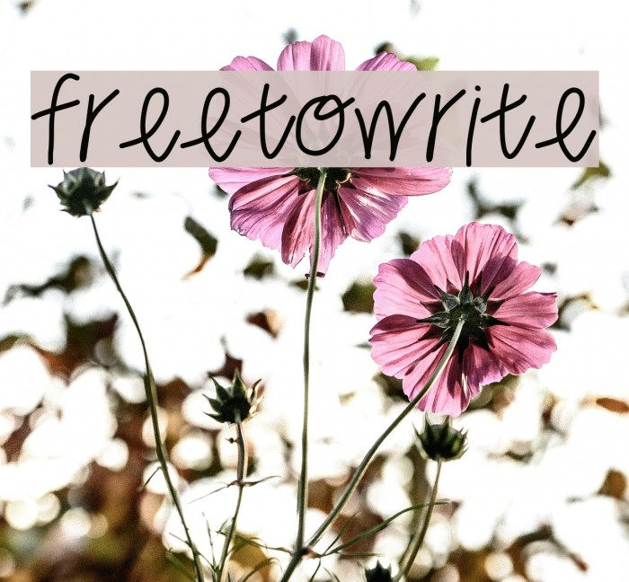 freetowrite Font examples