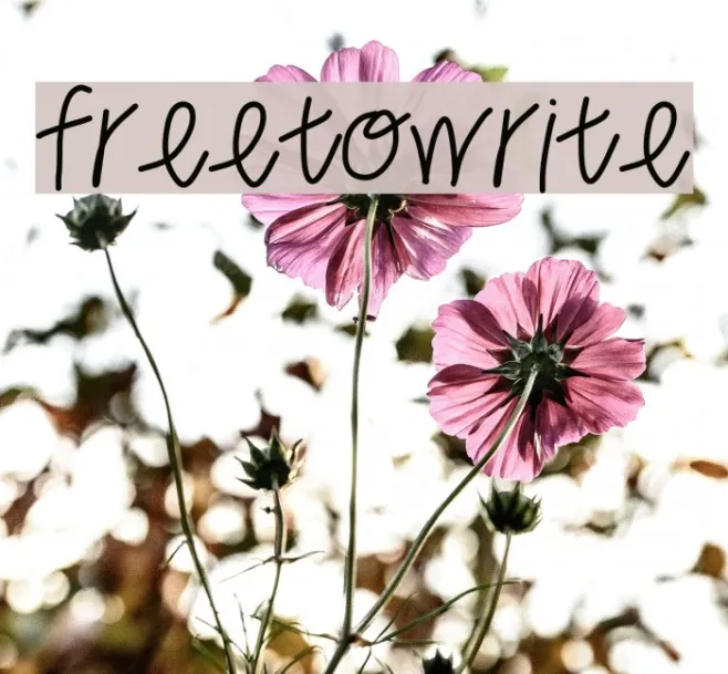 freetowrite Example 2