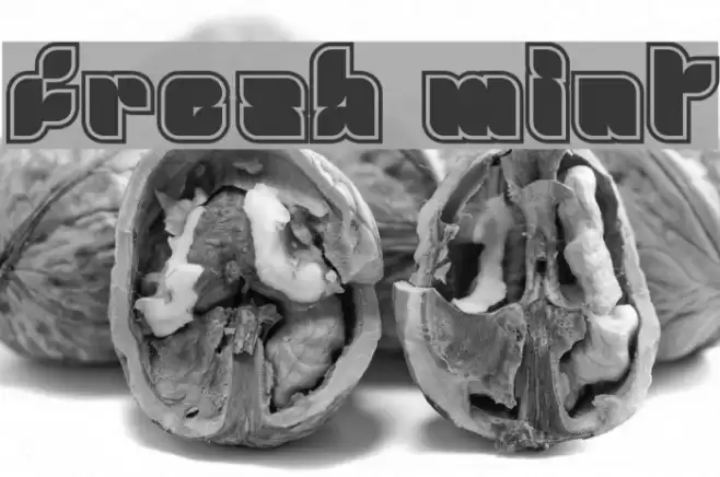 fresh mint Font examples