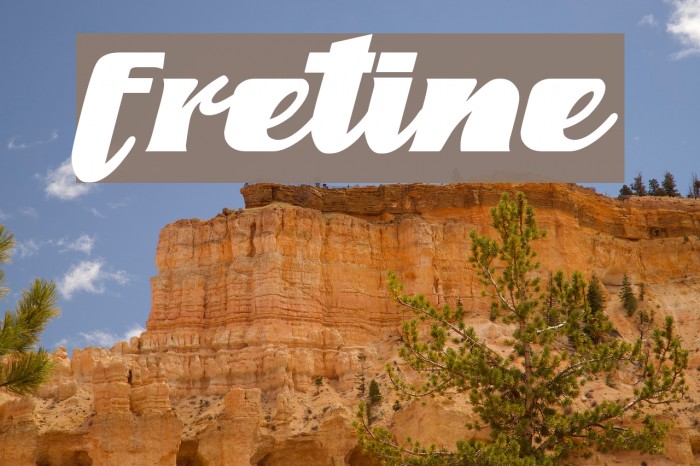 fretine Font examples