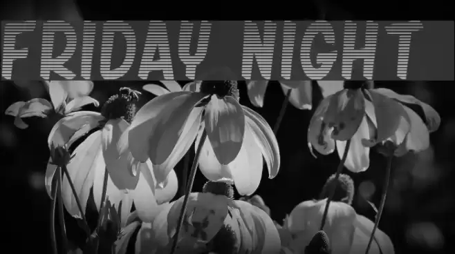 friday night 2 Font examples