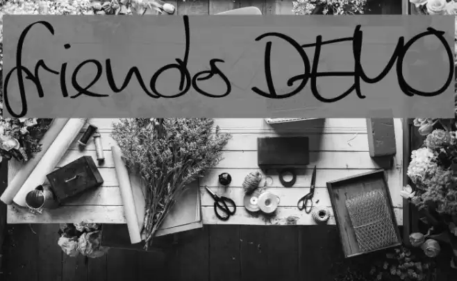 friends DEMO Font examples