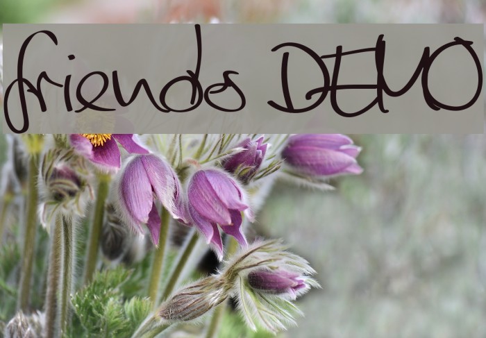 friends DEMO Example 3