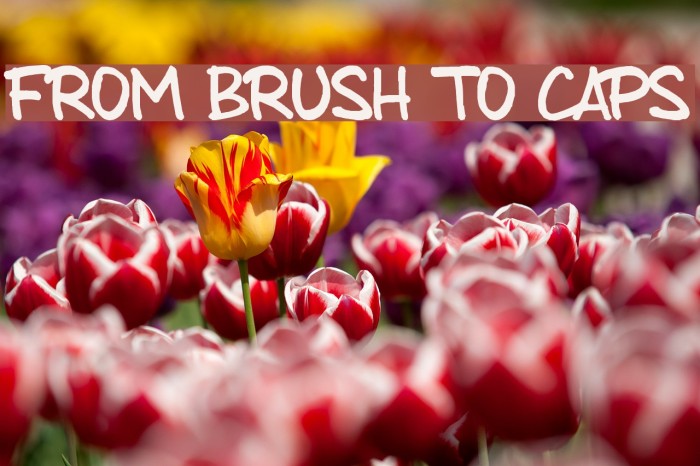 from brush to caps Example 2