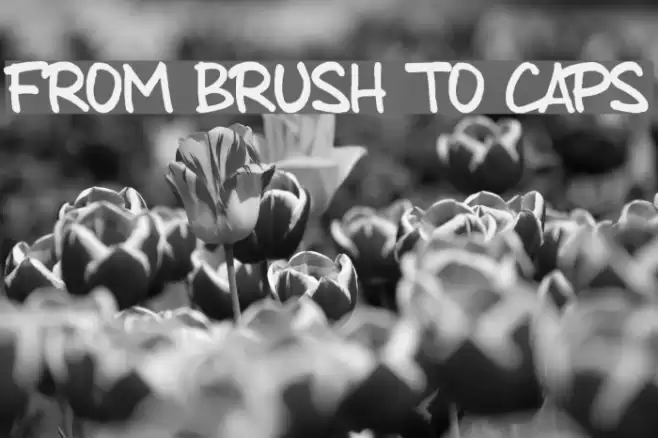 from brush to caps Font examples