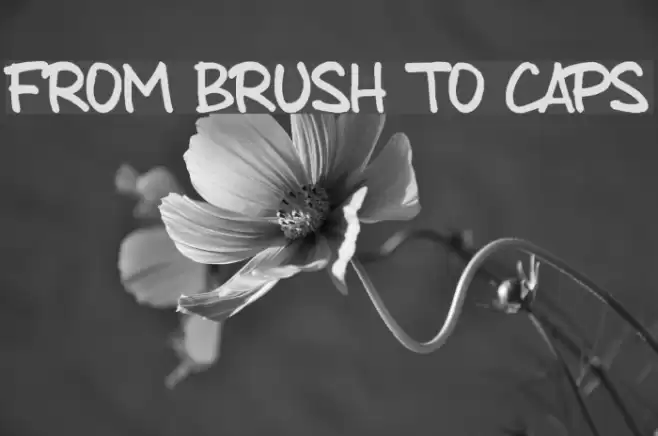 from brush to caps Font examples