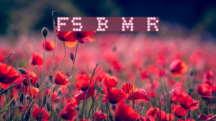 FS Blok Mix Regular Font examples