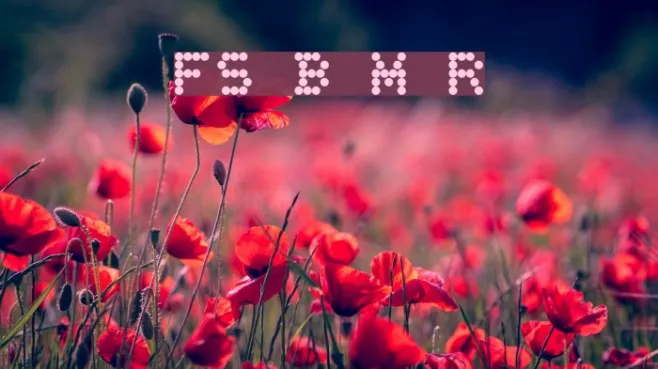 FS Blok Mix Regular Example 2