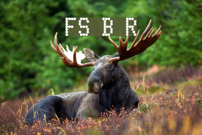 FS Blok Regular Font examples