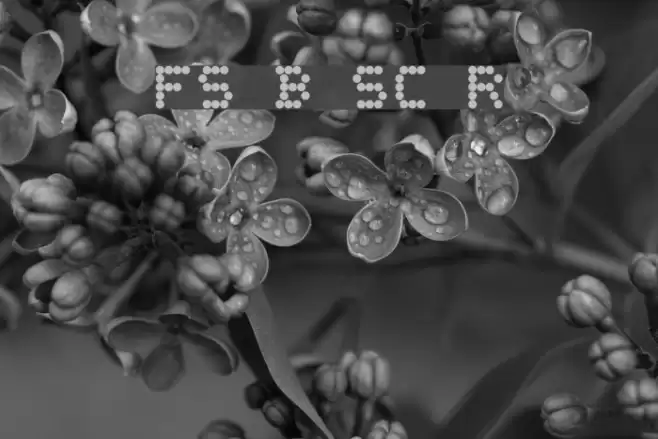 FS Blok SC Regular Font examples