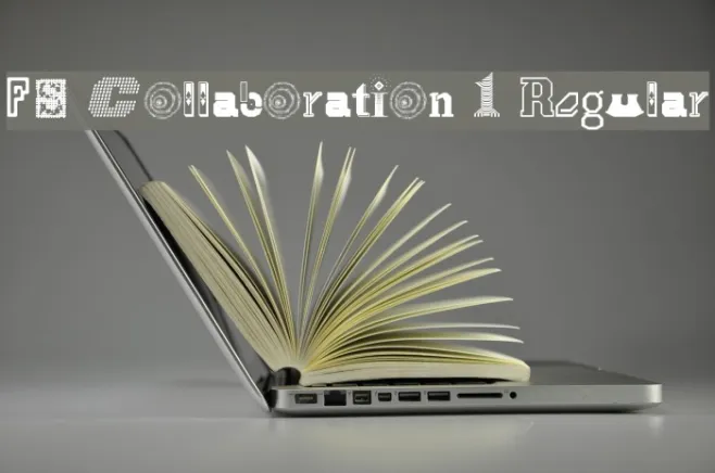 FS Collaboration 1 Regular Example 3