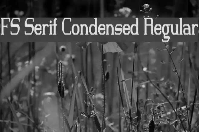 FS Serif Condensed Regular Font examples