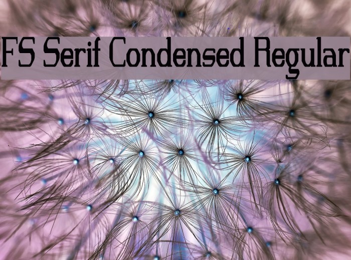 FS Serif Condensed Regular Font examples