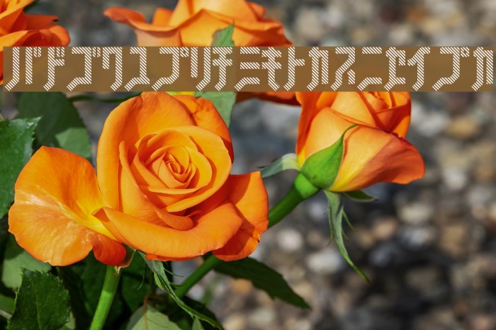 FSB08KlangstripeKt Example 1