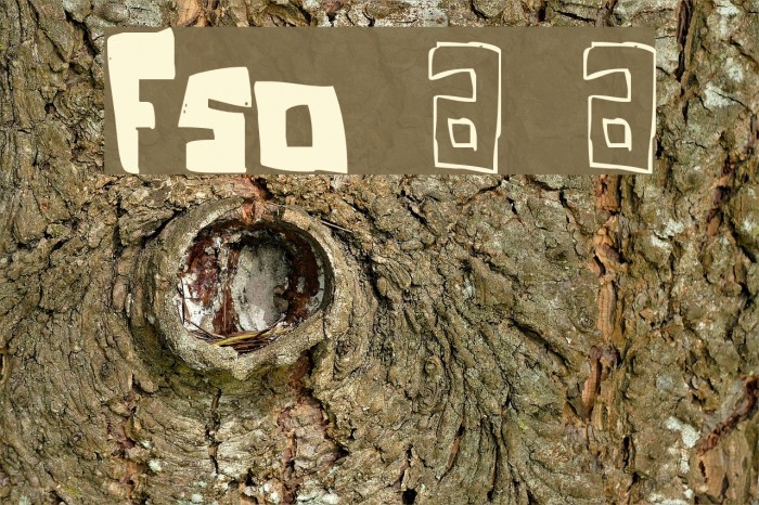 FSO square bracket フォント examples