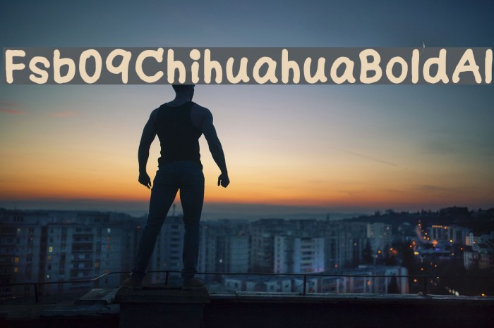 Fsb09ChihuahuaBoldAl Example 1