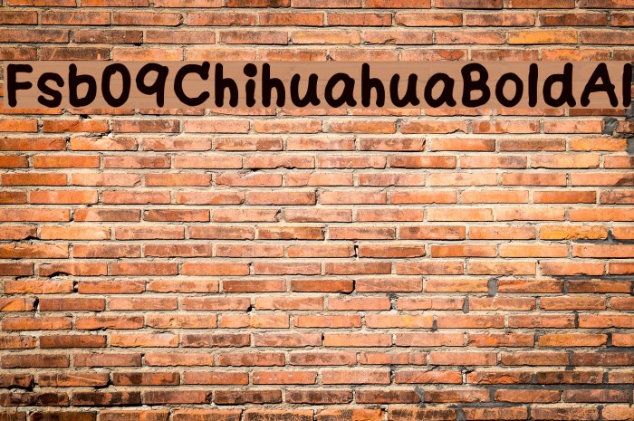 Fsb09ChihuahuaBoldAl Example 3