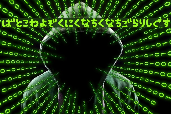 Fsb09ChihuahuaBoldHr Example 1