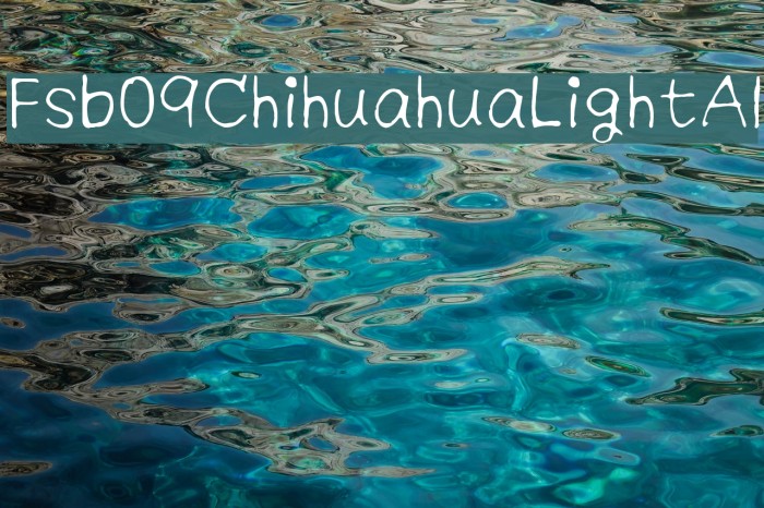 Fsb09ChihuahuaLightAl Example 2