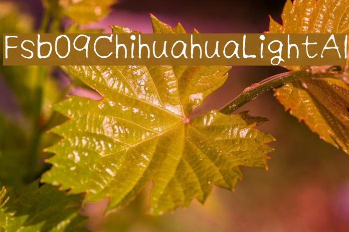 Fsb09ChihuahuaLightAl Example 3