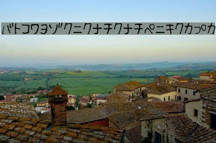 Fsb09ChihuahuaLightKt Example 1