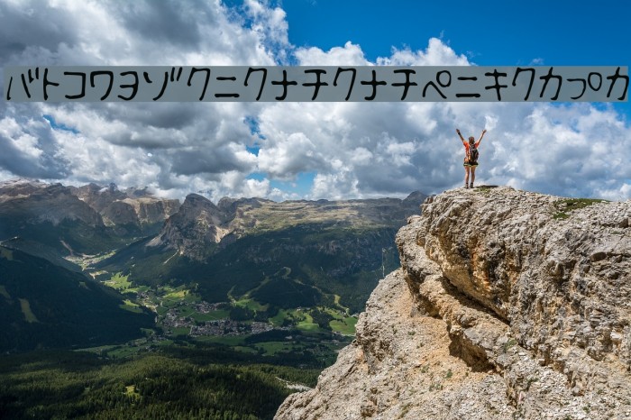 Fsb09ChihuahuaLightKt Example 2