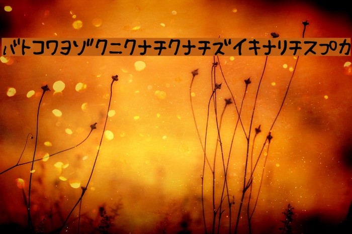 Fsb09ChihuahuaRegularKt Example 3