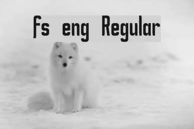fs eng Regular Font examples