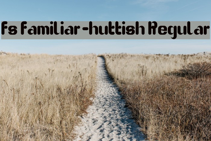 fs familiar-huttish Regular Font examples
