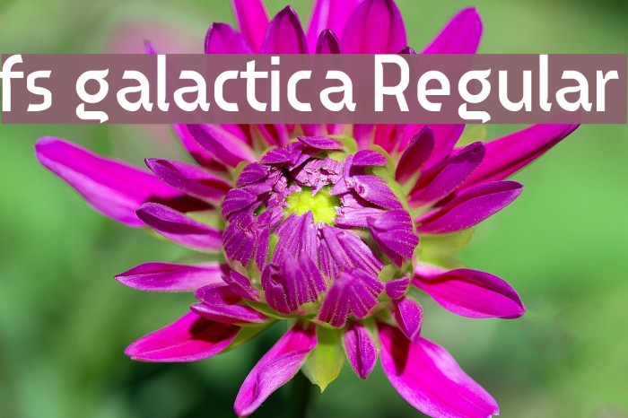 fs galactica Regular Example 1