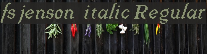 fs jenson 1 italic Regular Example 2