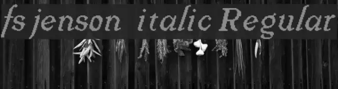 fs jenson 1 italic Regular Font examples