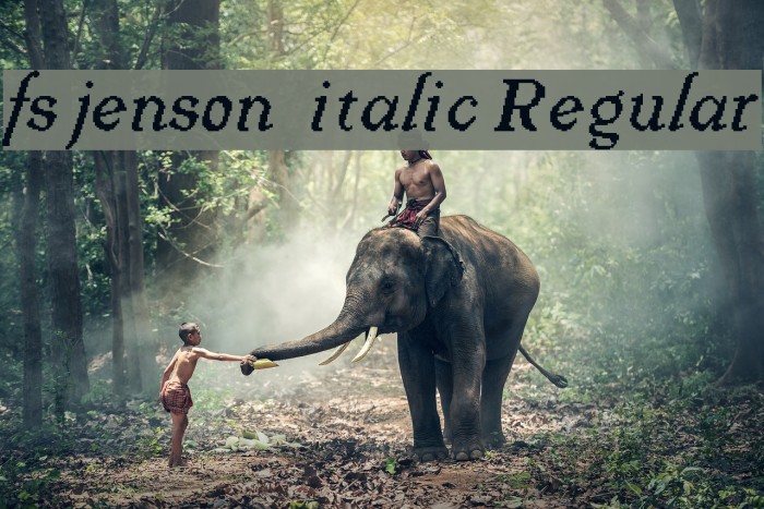 fs jenson 1 italic Regular Example 3