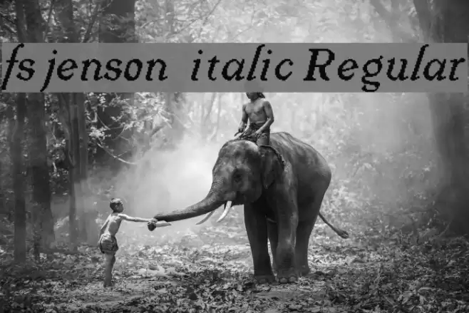 fs jenson 1 italic Regular Font examples