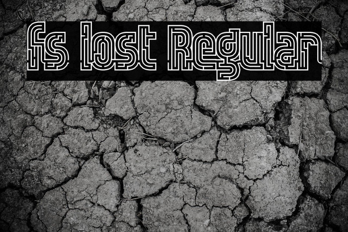 fs lost Regular Font examples