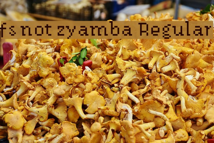 fs not zyamba Regular Example 1