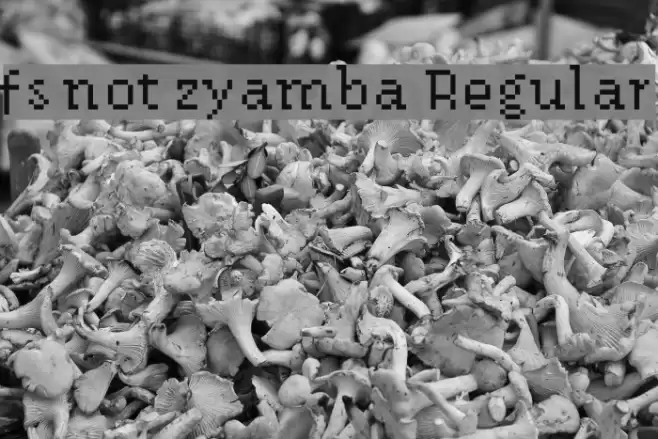 fs not zyamba Regular Font examples
