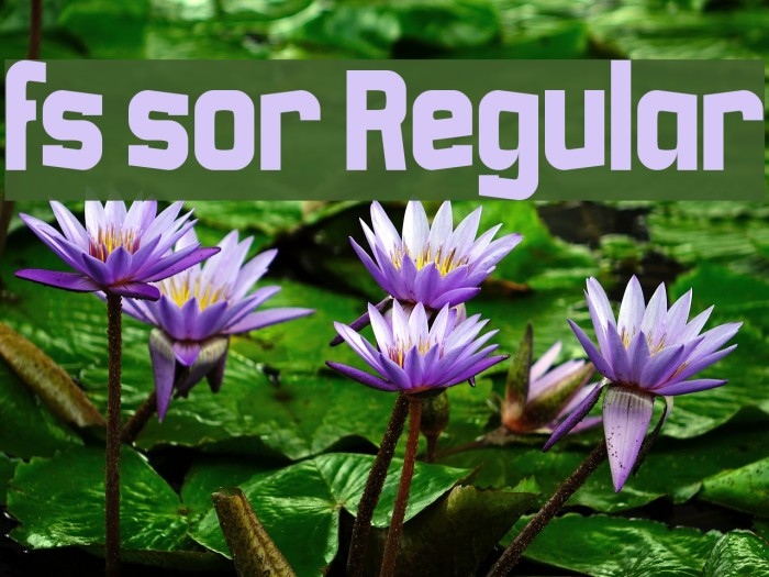 fs sor Regular Font examples