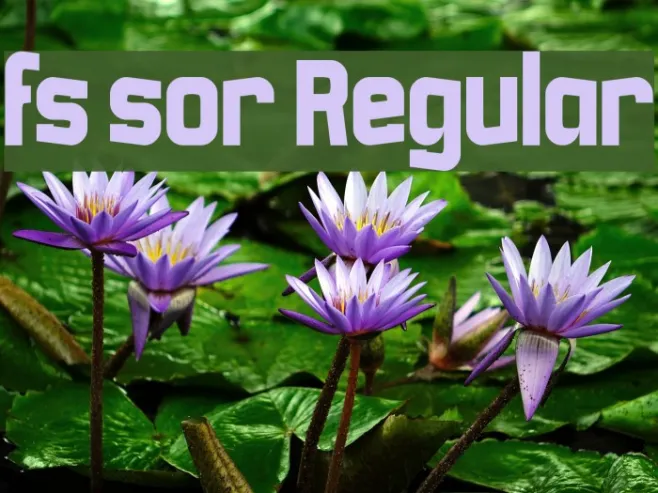 fs sor Regular Example 2