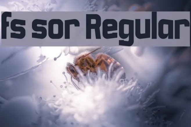 fs sor Regular Example 3
