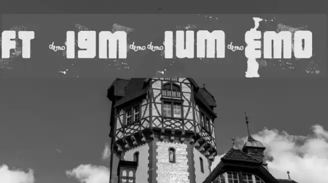FT BigMedium_DEMO Fonte examples