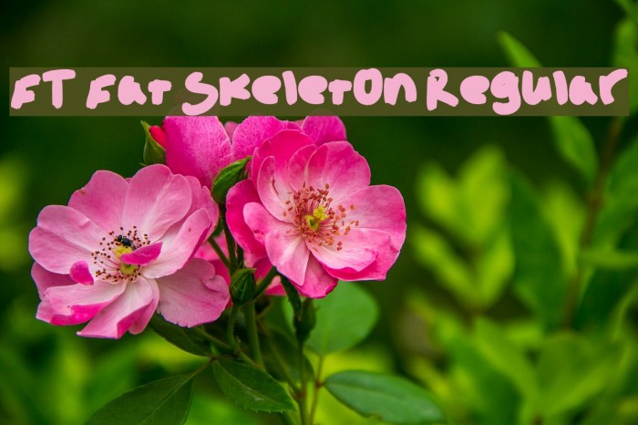 FT Fat Skeleton Regular Example 1