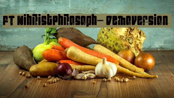 FT NihilistPhilosophy Demoversion Шрифта examples