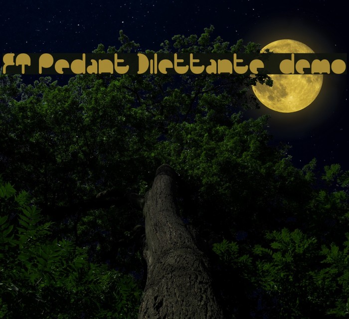 FT Pedant Dilettante demo Font examples