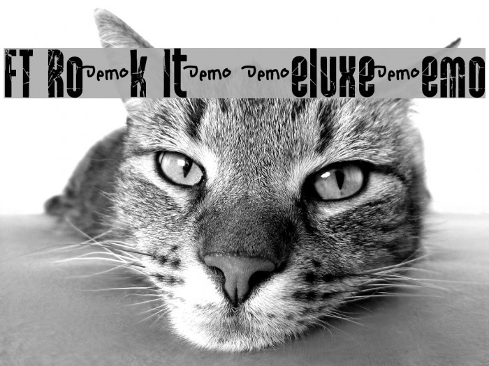 FT Rock It! Deluxe_Demo Font examples