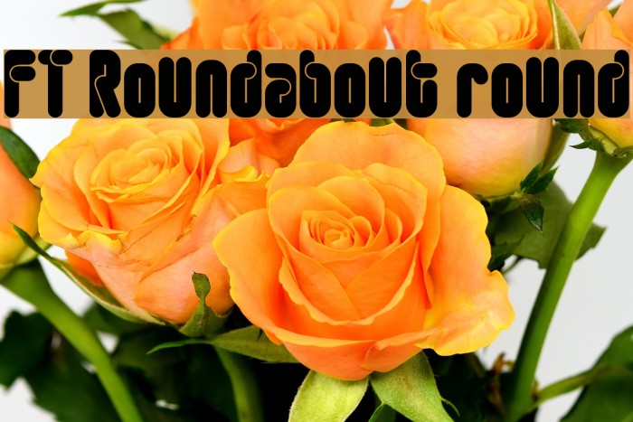 FT Roundabout round Font examples