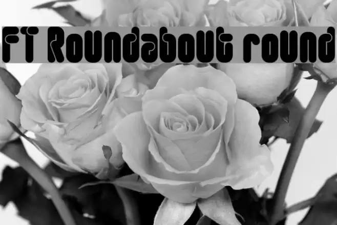 FT Roundabout round フォント examples