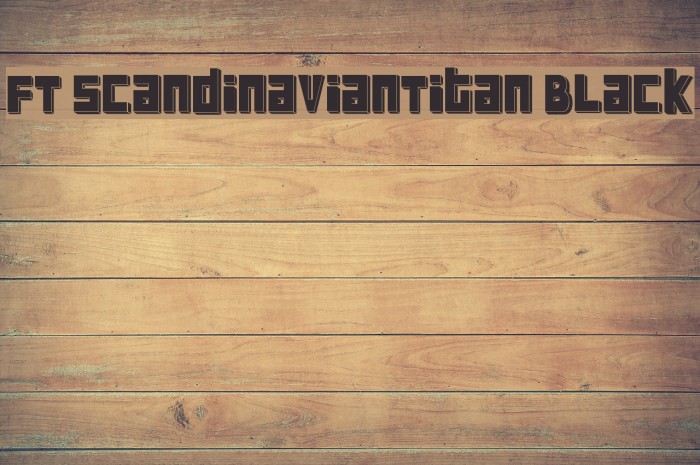 FT ScandinavianTitan Black Font examples